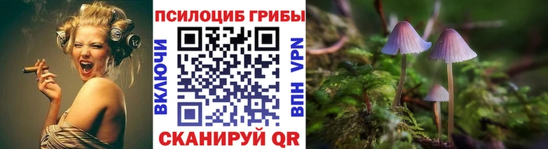 купить  цена  маркетплейс наркотические препараты  Псилоцибиновые грибы Psilocybine cubensis  Брюховецкая 